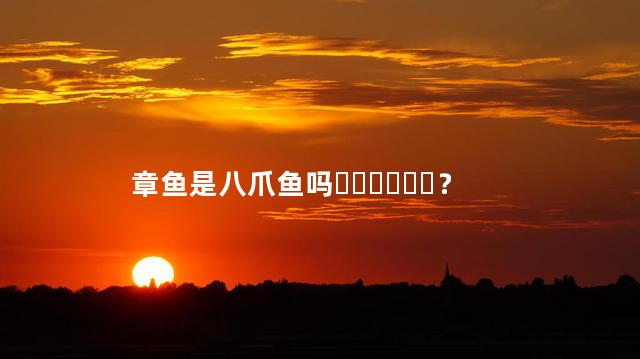 章鱼是八爪鱼吗？